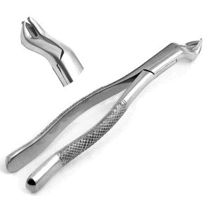 1 Premium OR Grade Dental Extraction EXTRACTING Forceps #88R Instruments for Right Upper MOLARS (DDP Quality)