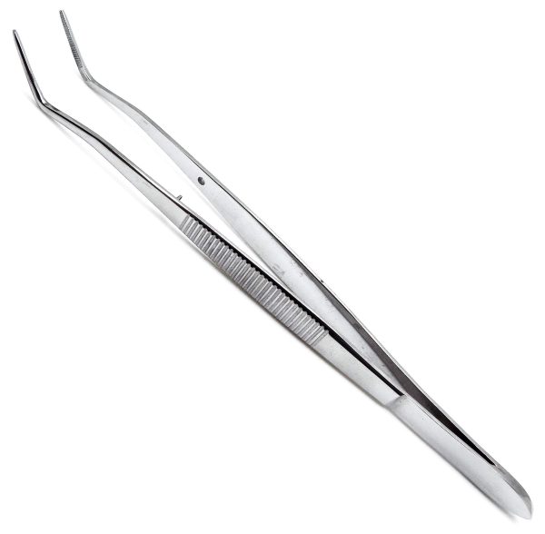 Dental Cotton Tweezer Meriam Foil Serrated Angled Beak Dressing Pliers Surgical Forcep Diagnostic Instruments